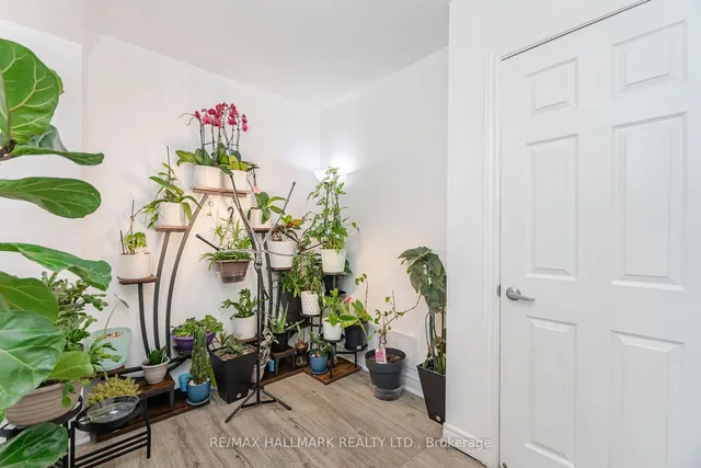 Additional image 38 of 39 Pin Lane