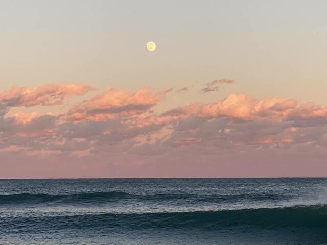 Additional image 14 of Arai, Kashima City, Ibaraki Prefecture