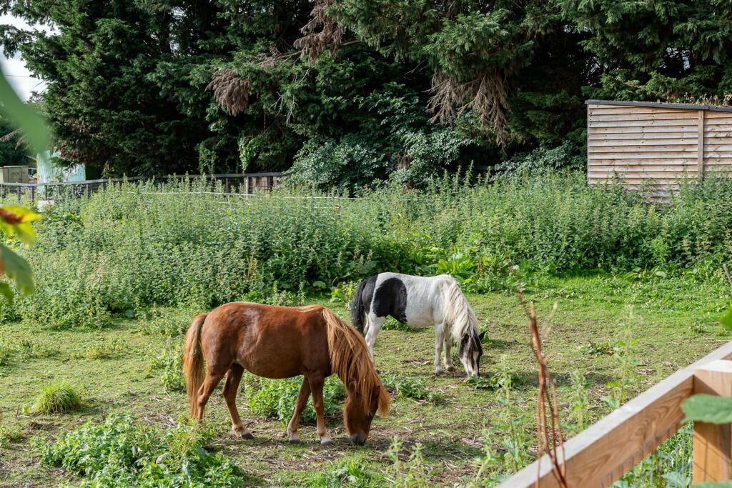 Additional image 18 of Codicote Road, Welwyn