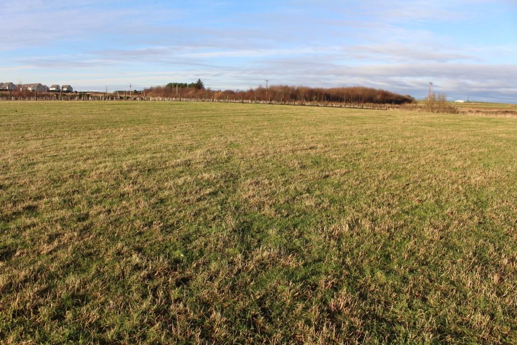 Additional image 3 of Mill of Foveran Farmhouse and land, Foveran, Ellon, AB41 6AF