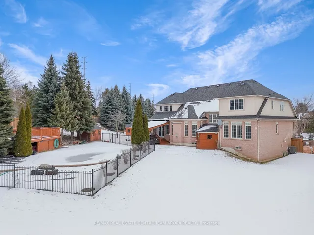 Additional image 36 of 6 Champion Crt