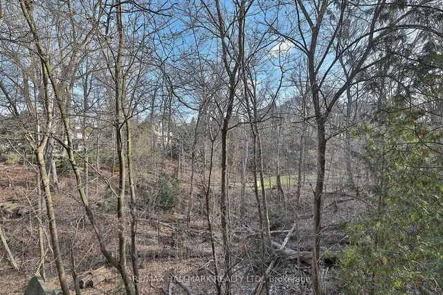 Additional image 33 of 225 Roslin Ave