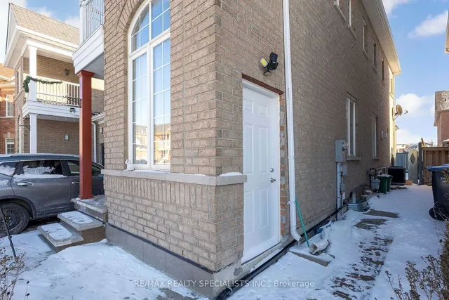 Additional image 37 of 40 Begonia Cres