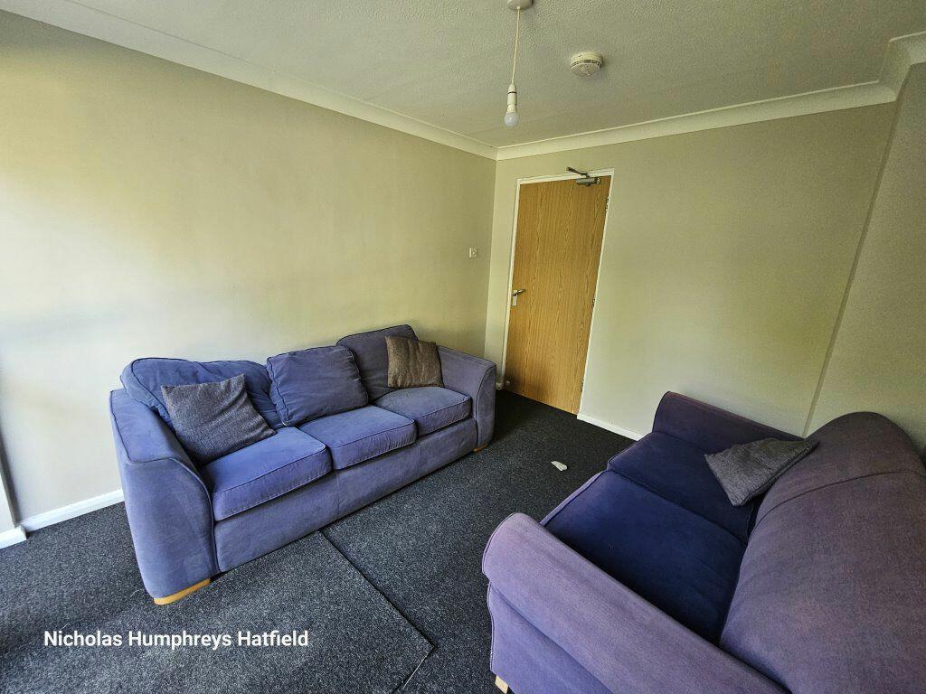 Additional image 4 of Cheviots