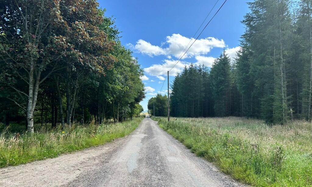 Additional image 14 of Ordiefauld Wood, Inverurie,  AB51