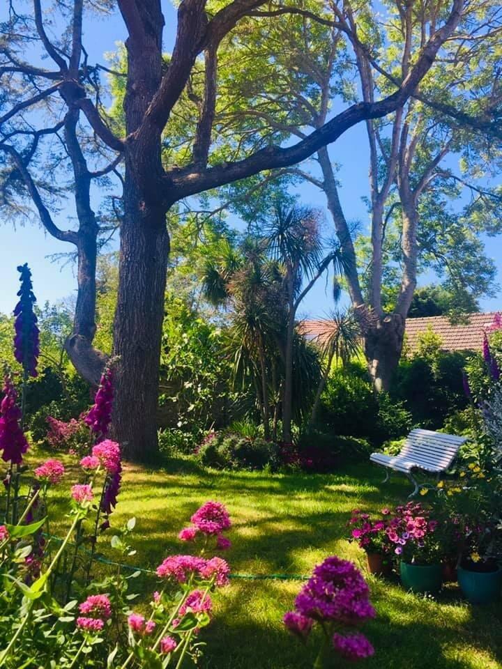 Additional image 2 of Normandy, Manche, Fermanville, France