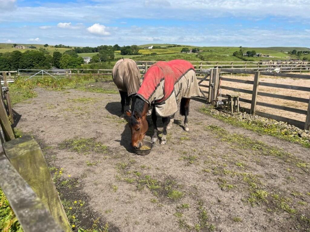 Additional image 23 of Hargreaves Fold Lane, Rossendale