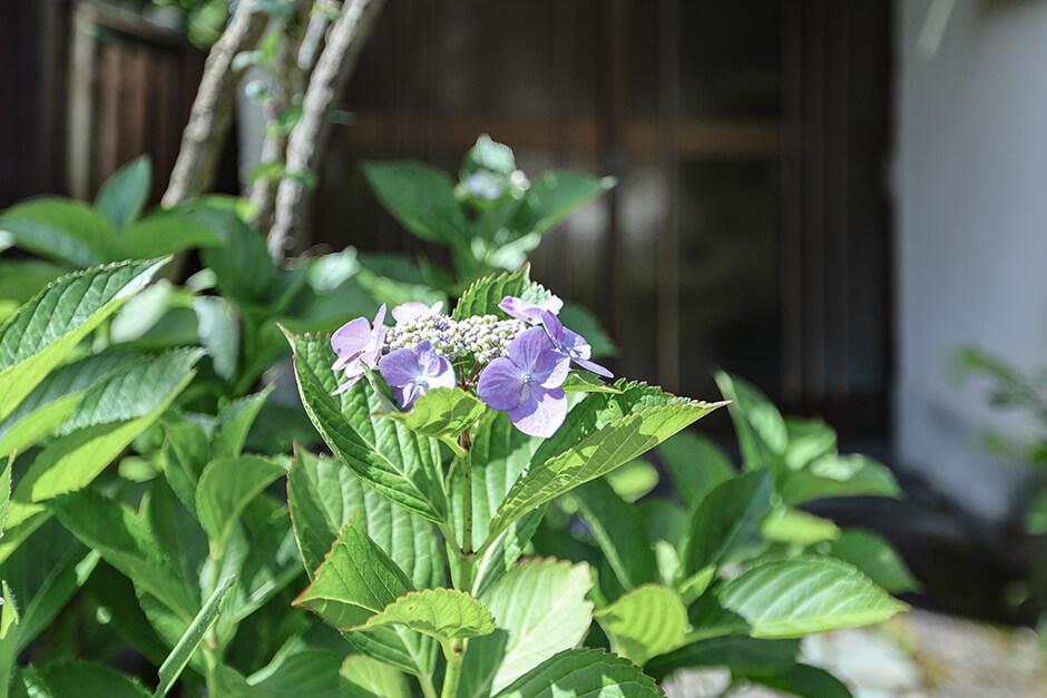 Additional image 10 of Jodoji Minamidacho, Sakyo Ward, Kyoto City, Kyoto Prefecture