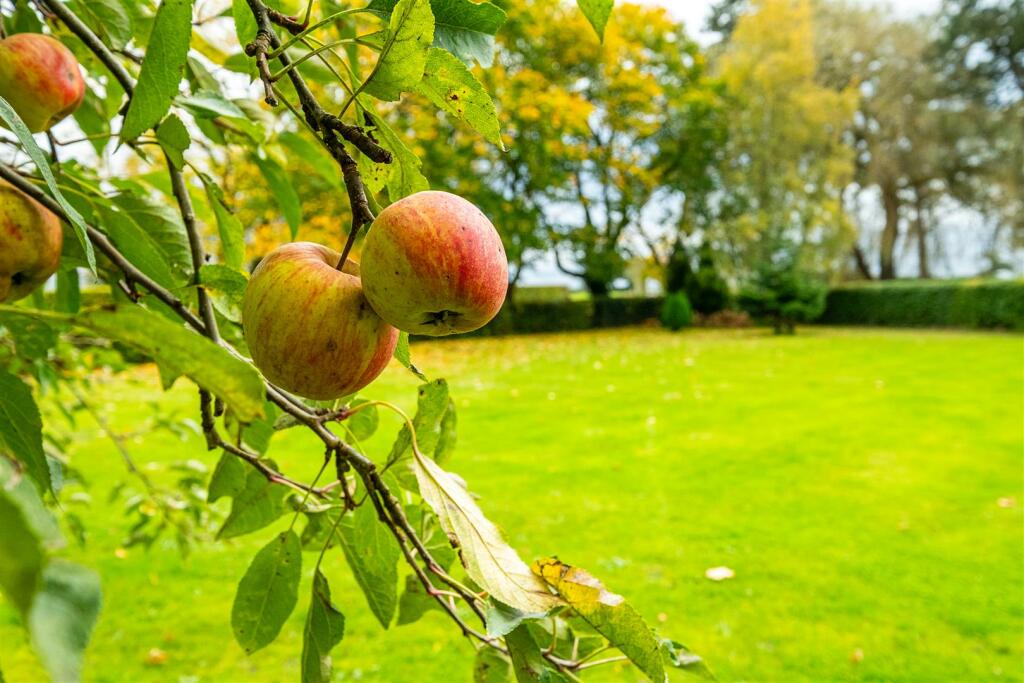 Additional image 40 of Brickhouse Lane, Elford
