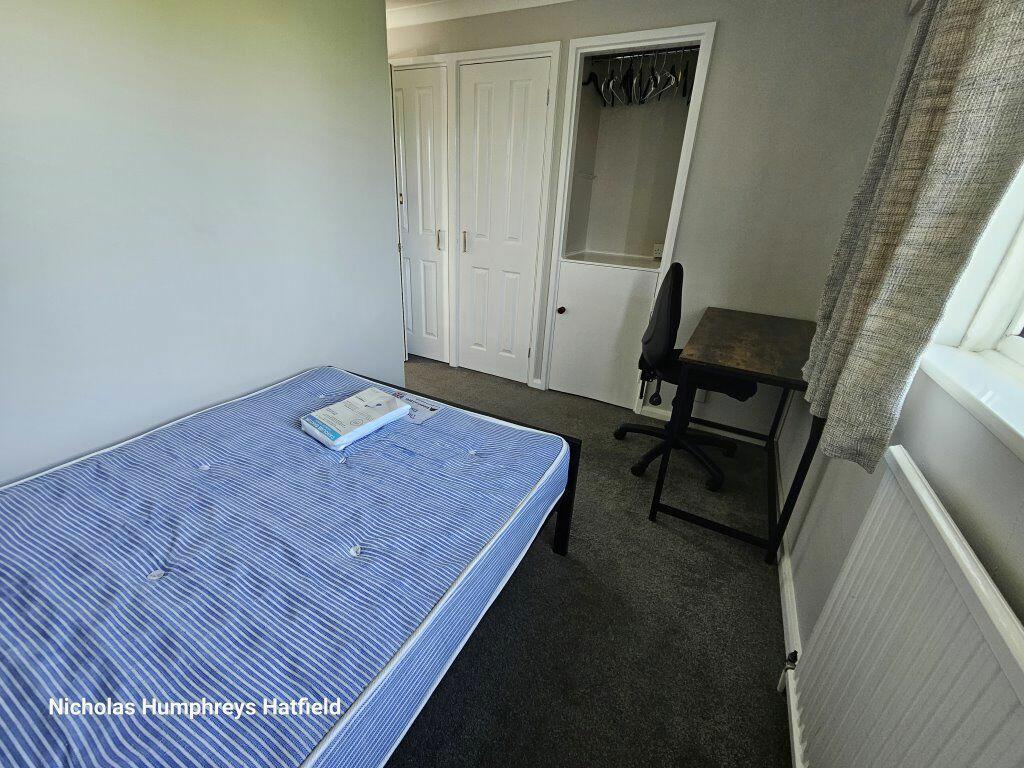 Additional image 9 of Cheviots