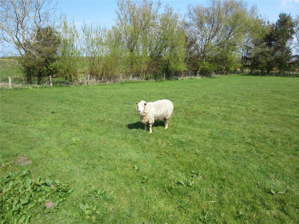Additional image 4 of Plot At Burnside Of Craigellie, Lonmay, Fraserburgh, Aberdeenshire, AB43