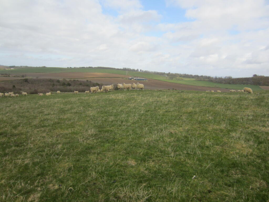 Additional image 13 of Land At Knockorth, Aberchirder, Huntly, Aberdeenshire, AB53