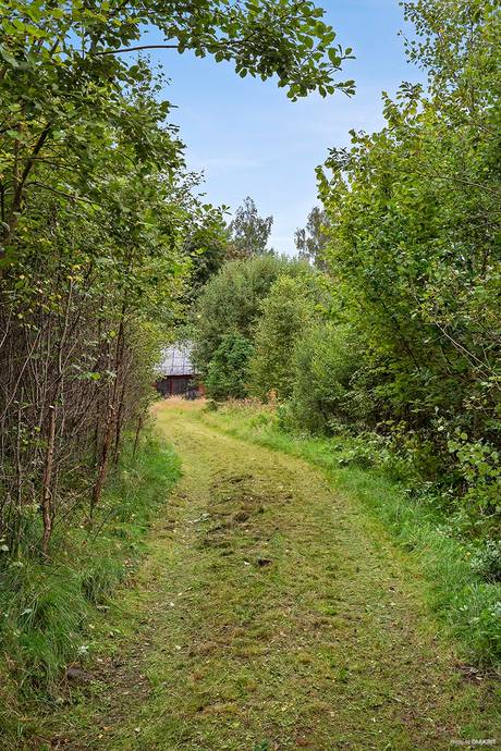 Additional image 2 of Boås Åsen, Hylte Municipality