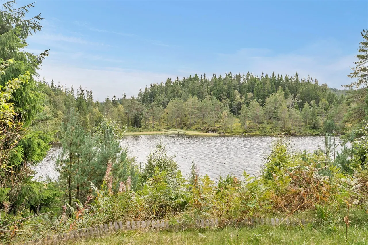 Additional image 3 of Steinslandsvegen 40, 4720 Hægeland