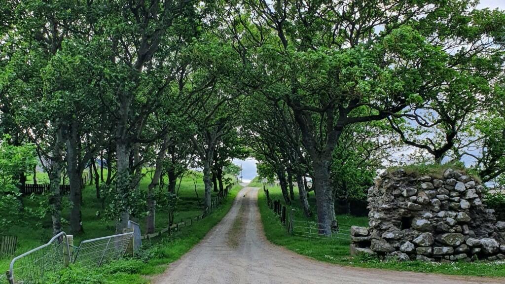 Additional image 8 of Castle Farm, Rosehearty, Fraserburgh, AB43 7NU