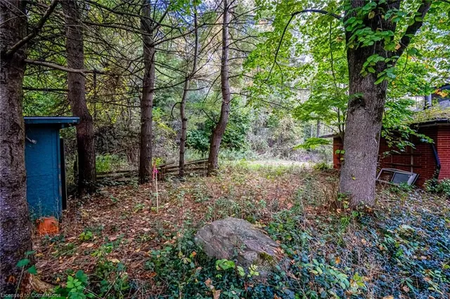 Additional image 19 of 1296 Mineral Springs Rd