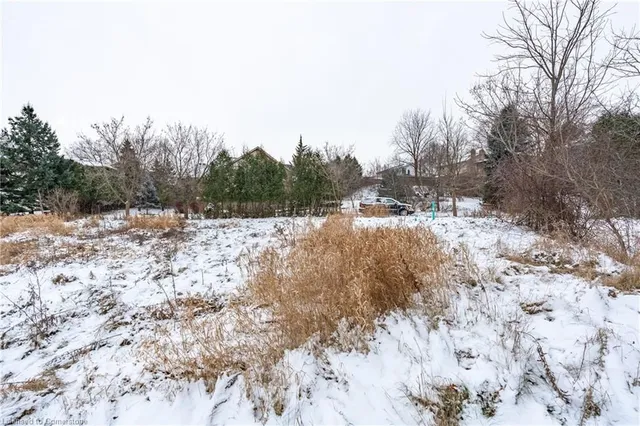 Additional image 6 of 7 Ridgewood Blvd