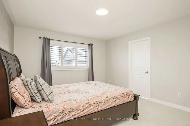 Additional image 24 of 40 Begonia Cres