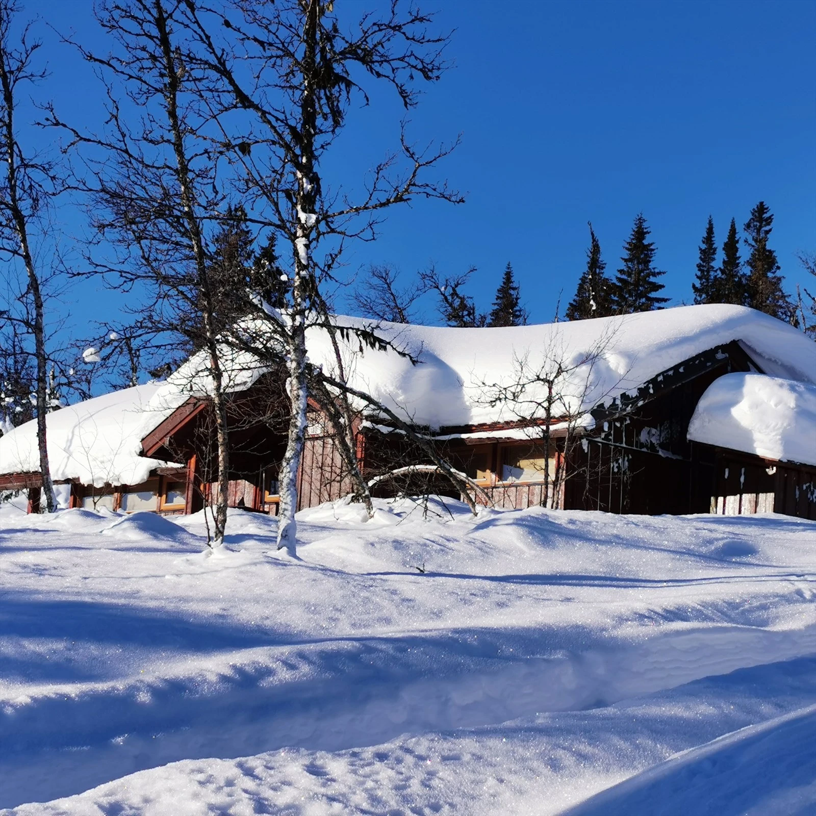 Additional image 2 of Dekarvegen 128, 3528 Hedalen