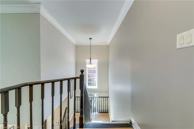 Additional image 29 of 16 Sweetman Dr