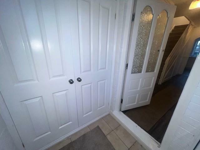 Additional image 13 of Nemesia, Tamworth