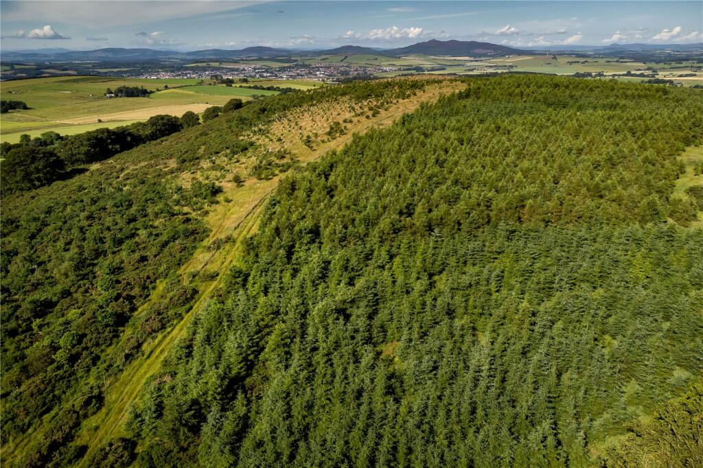Additional image 7 of Lawel Hill Wood, Inverurie, Aberdeenshire, AB51