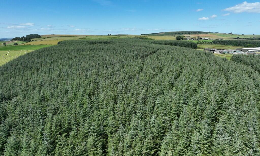 Additional image 4 of Ordiefauld Wood, Inverurie,  AB51