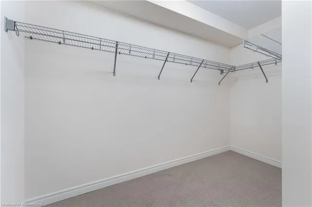 Additional image 17 of 313 Raymond Rd