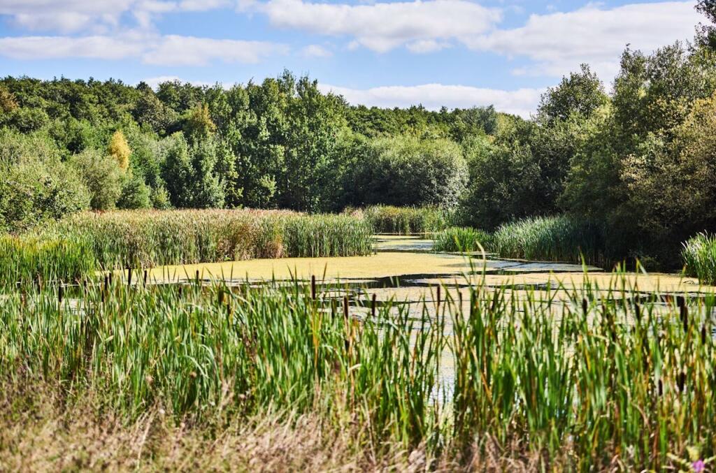 Additional image 9 of One Central Boulevard, Blythe Valley Business Park, Solihull, B90 8BG