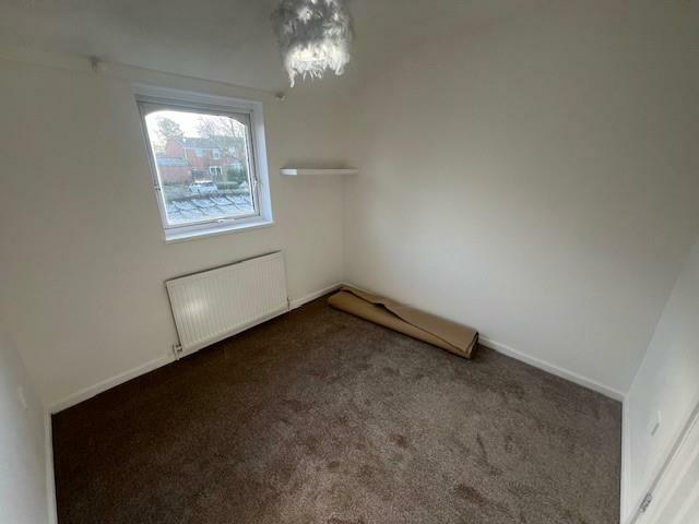 Additional image 10 of Nemesia, Tamworth