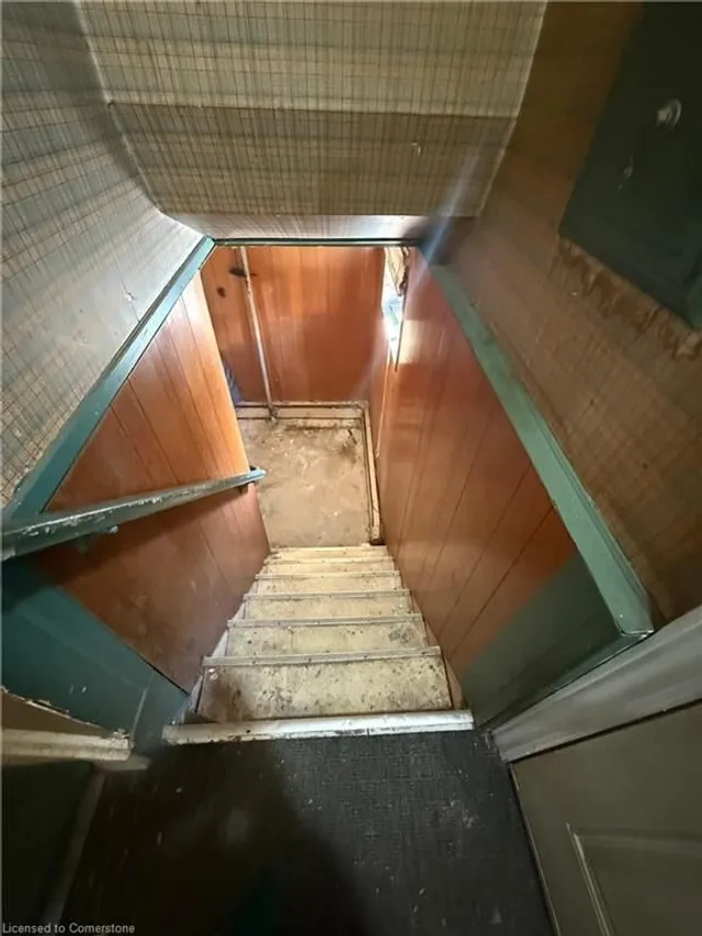 Additional image 17 of 2137 Mount Forest Dr