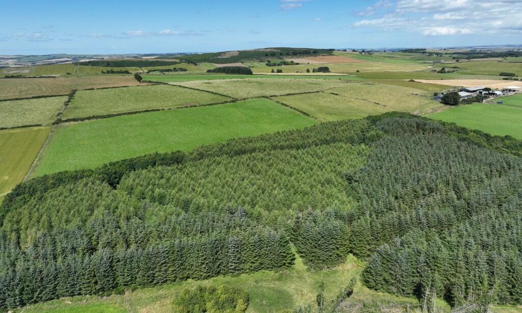 Additional image 7 of Ordiefauld Wood, Inverurie,  AB51