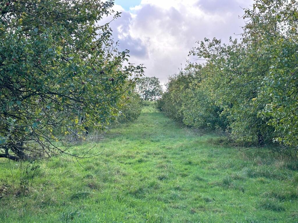 Additional image 3 of Barn and Land at Easton Hill