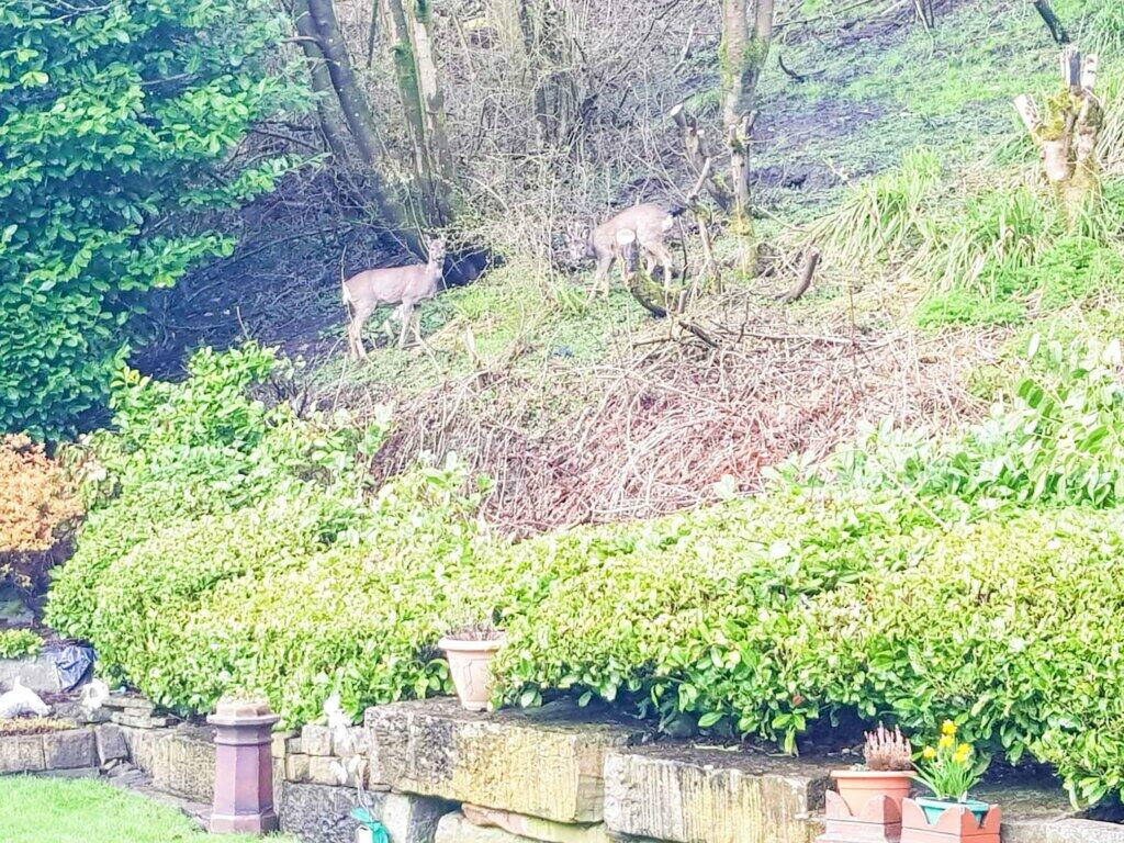 Additional image 74 of Wicken Grove, Barley Holme Road, Crawshawbooth