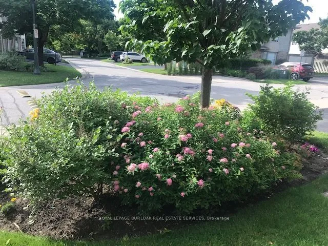 Additional image 30 of 3333 New St Unit 78