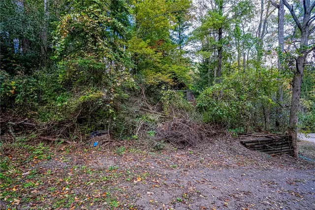 Additional image 15 of 1296 Mineral Springs Rd