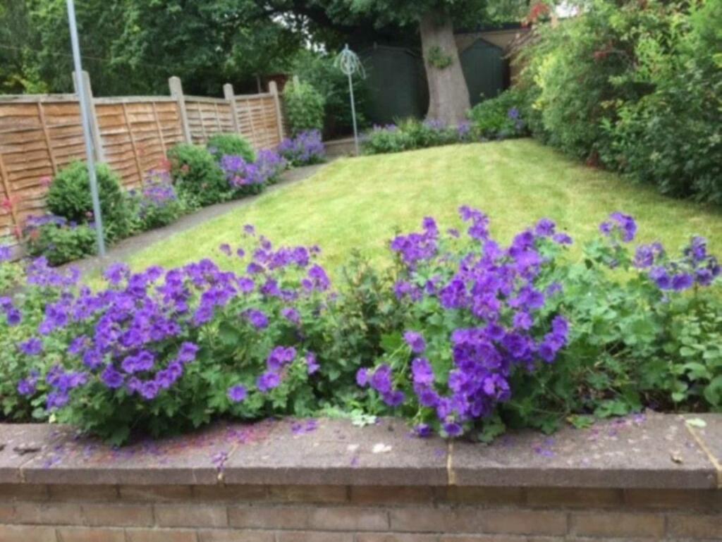 Additional image 2 of Hazel Grove, Hatfield