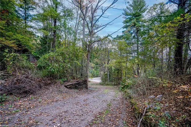 Additional image 10 of 1296 Mineral Springs Rd