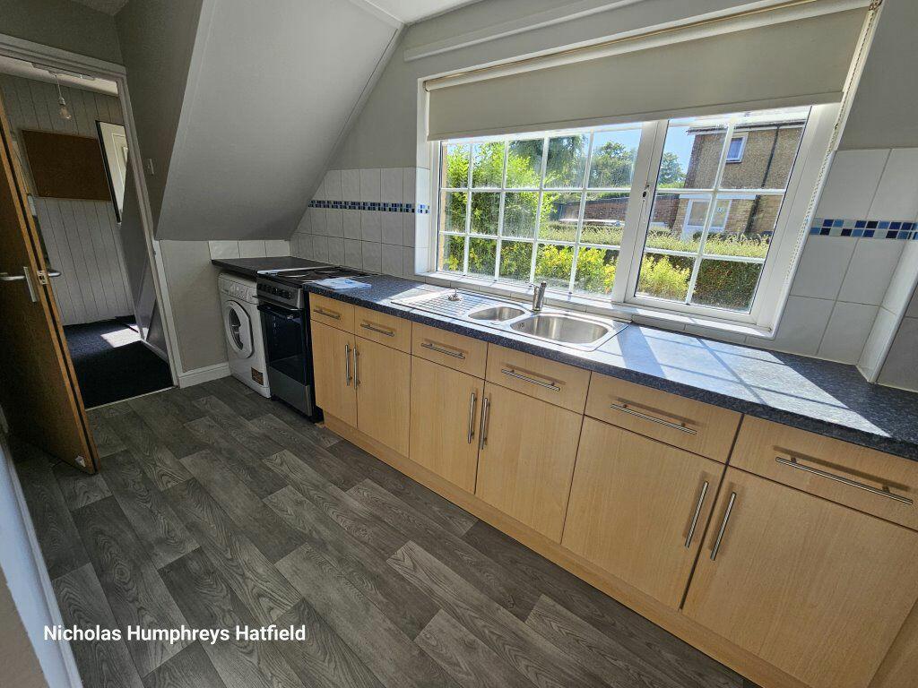 Additional image 16 of Cheviots