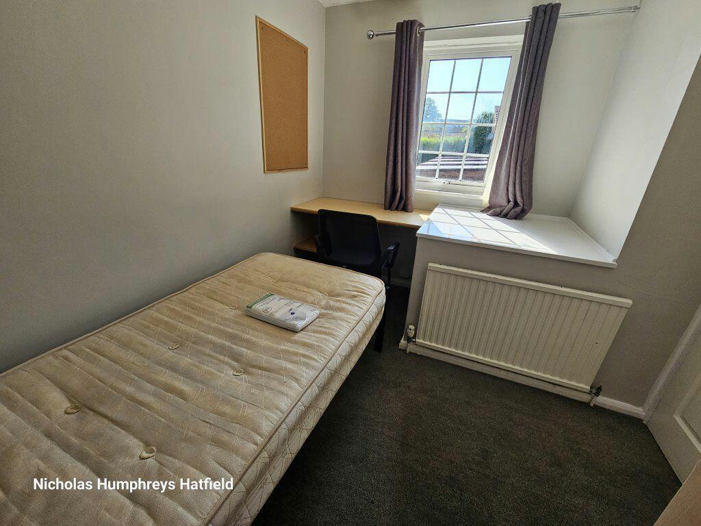 Additional image 11 of Cheviots