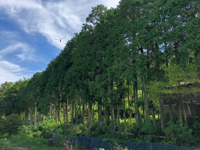 Additional image 5 of Onomachi, Sasebo City, Nagasaki Prefecture