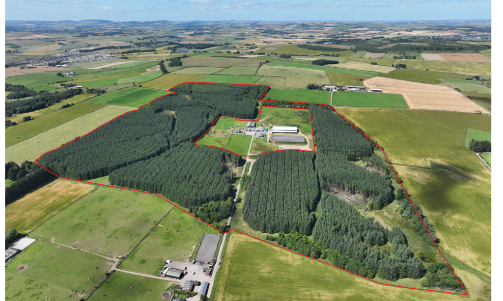 Additional image 18 of Ordiefauld Wood, Inverurie,  AB51