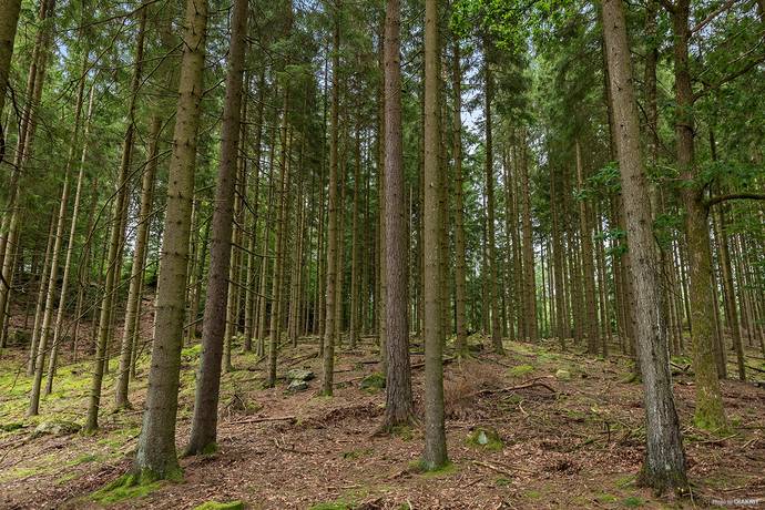 Additional image 3 of Boås Åsen, Hylte Municipality