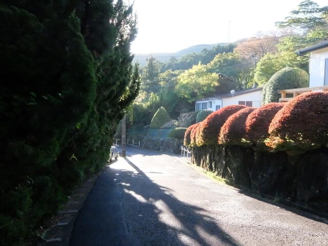 Additional image 2 of Naramoto, Higashiizu Town, Kamo District, Shizuoka Prefecture