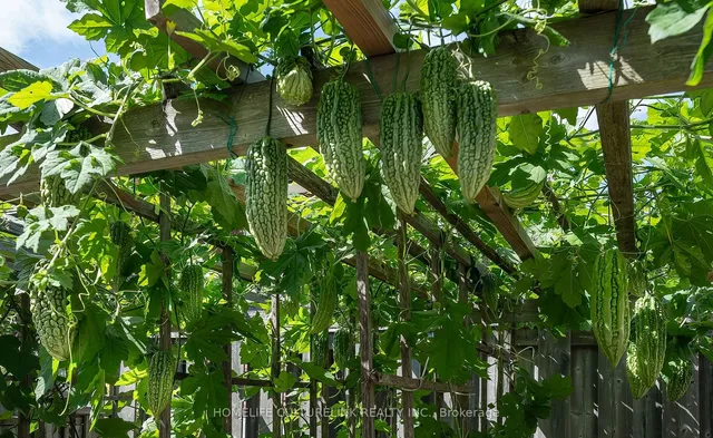 Additional image 28 of 48 Tidworth Sq