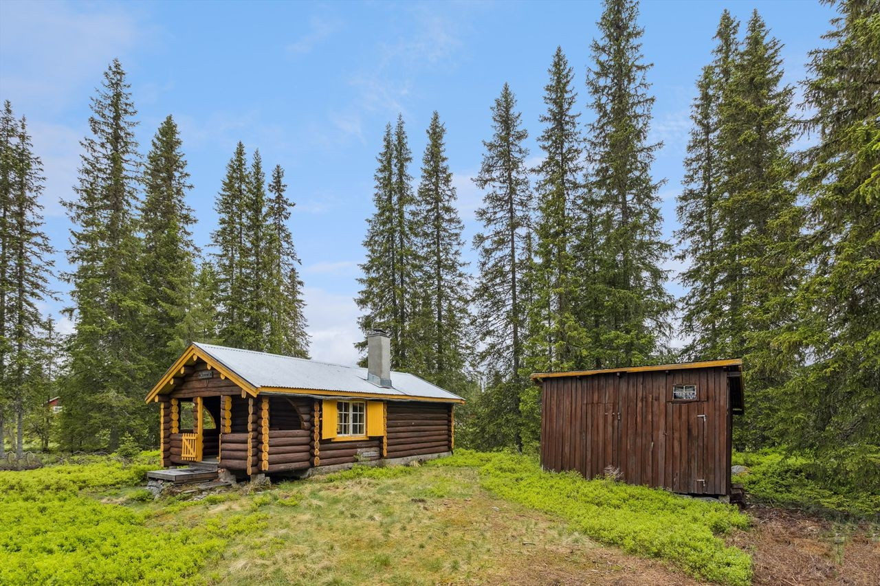 Additional image 3 of Rostadsæterveien 662, 2450 Rena