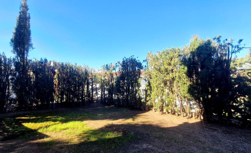 Additional image 2 of Andalucia, Malaga, Torreblanca, Spain