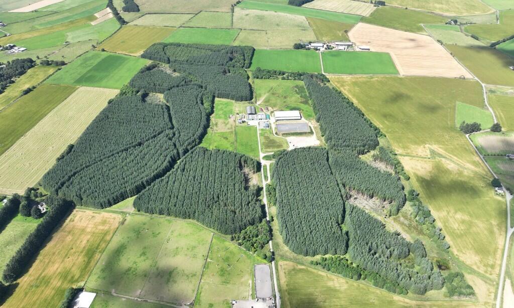 Additional image 5 of Ordiefauld Wood, Inverurie,  AB51