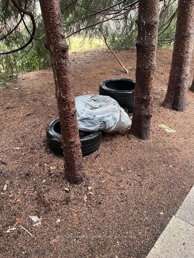 Additional image 14 of 16 Bellehaven Cres