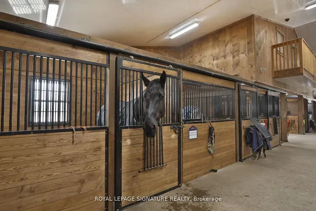 Additional image 27 of 1694 Centre Rd